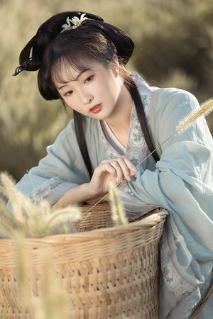 以家人之名电视剧多少集