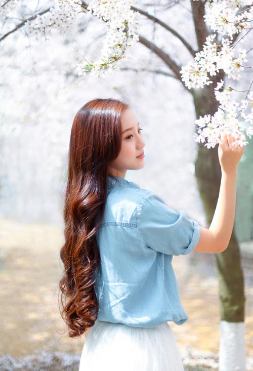 刺客伍六七第四季720p