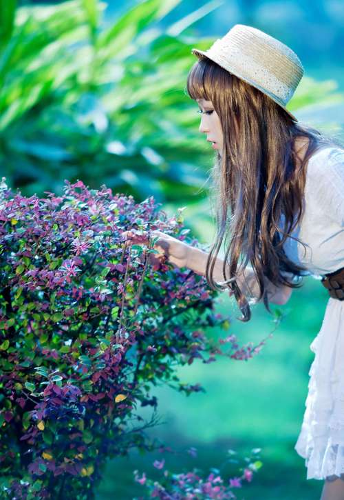 乱欧人与牲口杂交视频在线