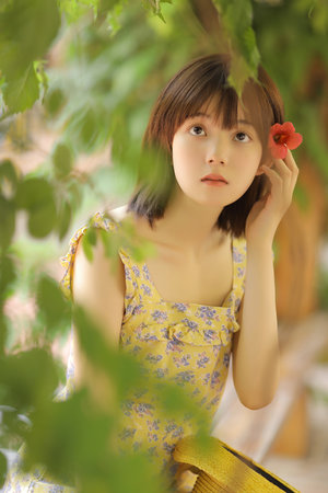 在线A站B站电影软件