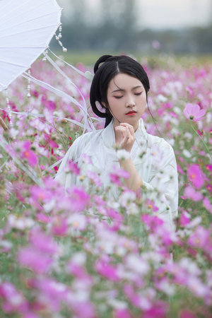 欧美洲精产品高清砖码区